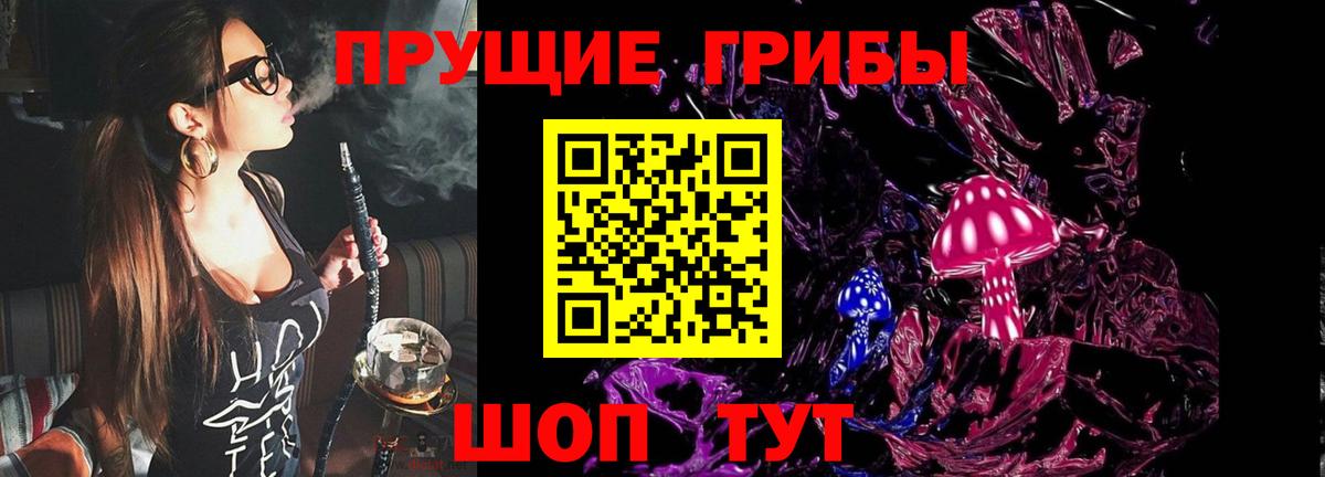 Псилоцибиновые грибы GOLDEN TEACHER Миасс